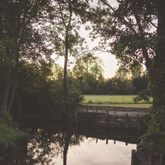 parc-bois domaine de vermoise